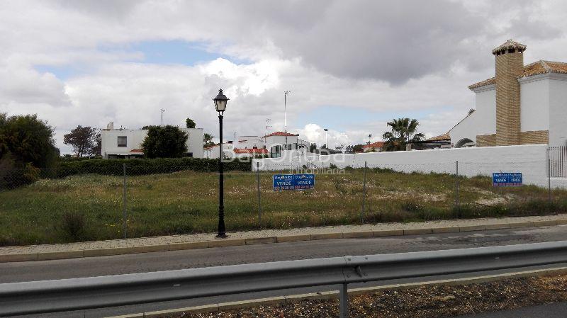 Imagen 4 / 6